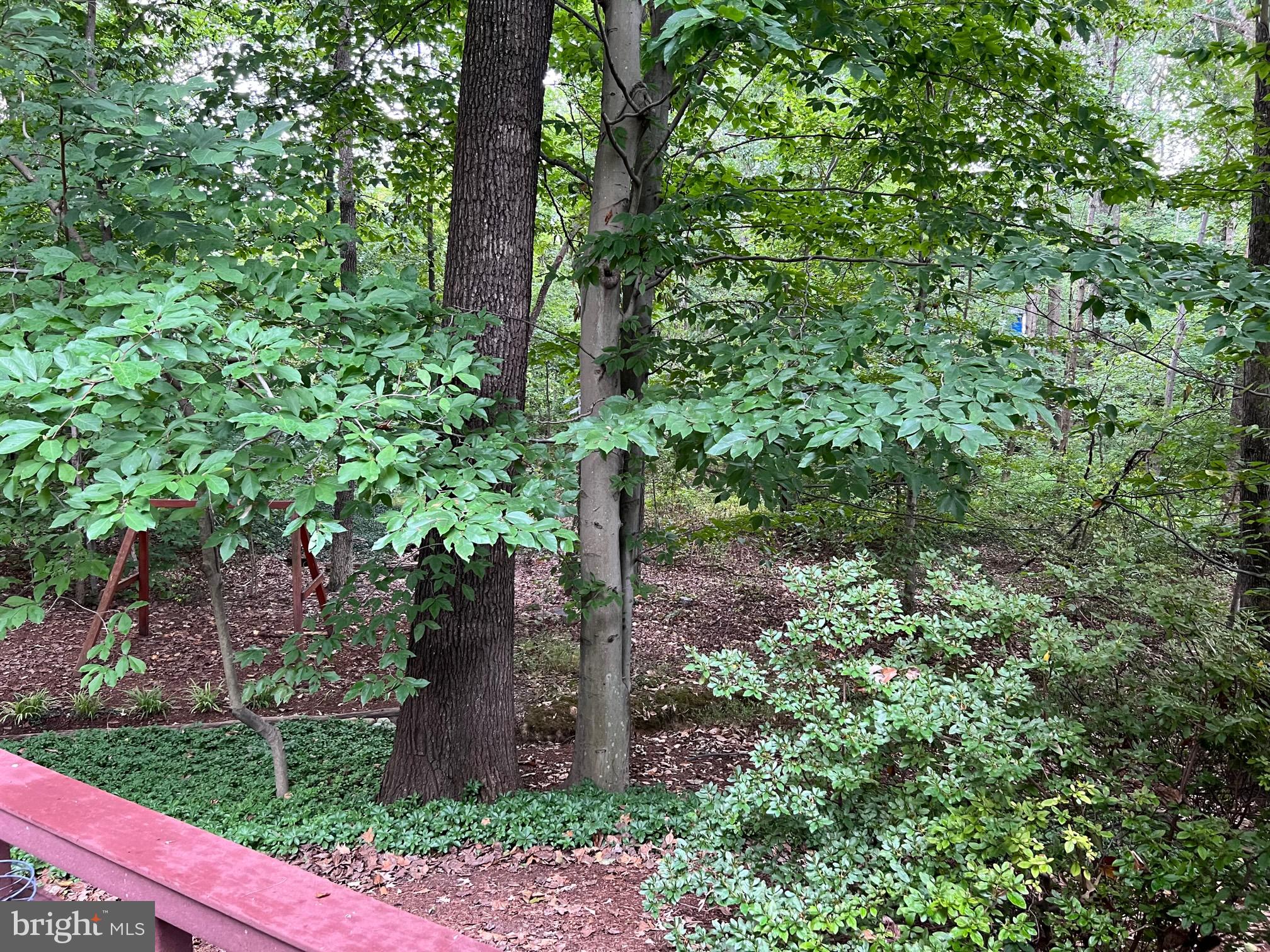 9226 Rockefeller Lane Springfield, VA 22153 - Photo 48 of 58