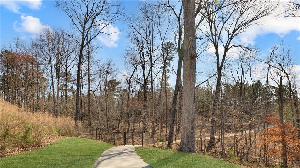 3367 Goodwin Park Suwanee, GA 30024 - Photo 43 of 51