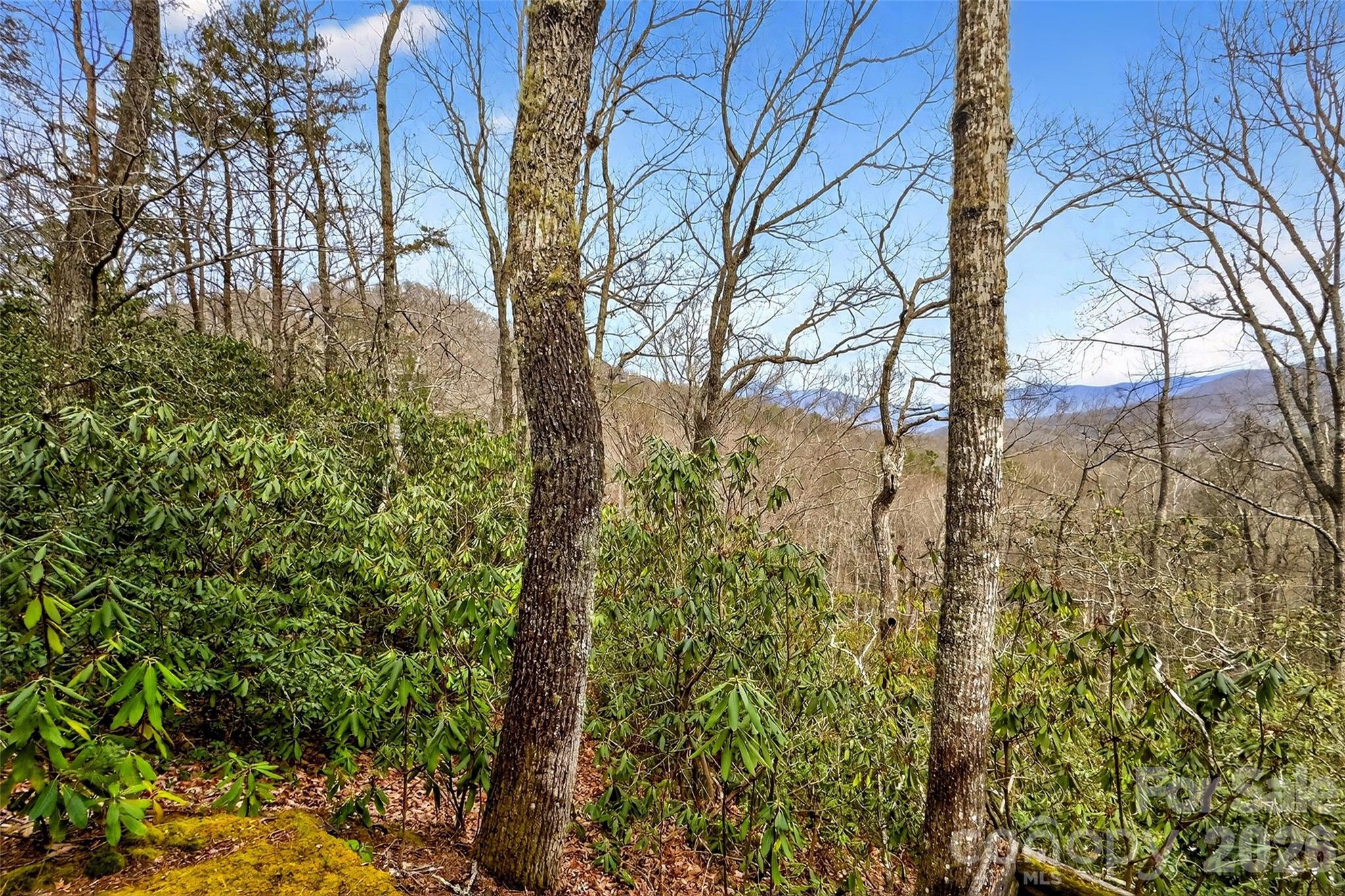 169 Hilltop Road Black Mountain, NC 28711 - Photo 15 of 48