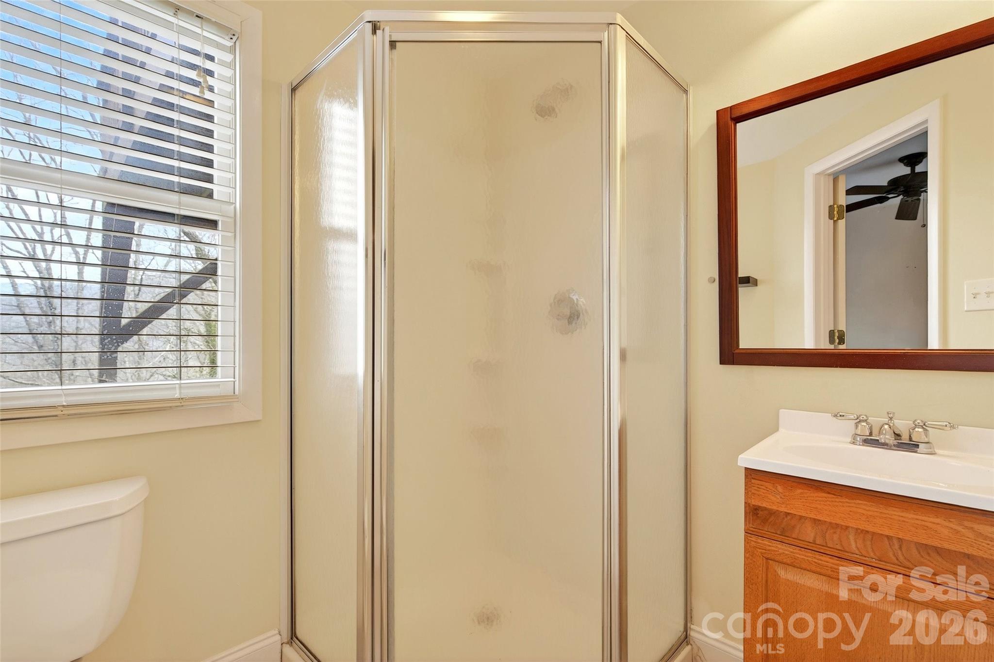 169 Hilltop Road Black Mountain, NC 28711 - Photo 45 of 48 a bathroom with a granite countertop sink and a mirror