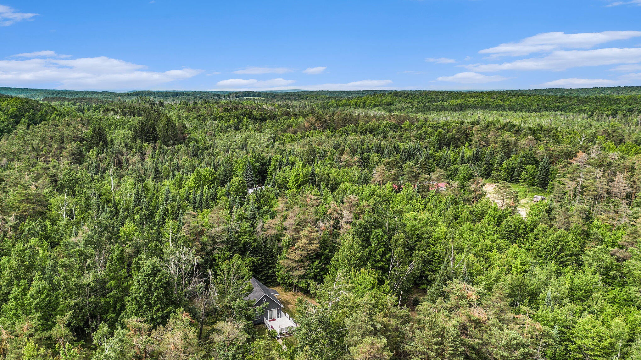 4234 Shook Road Wolverine, MI 49799 - Photo 3 of 23 020_dji_0728_859