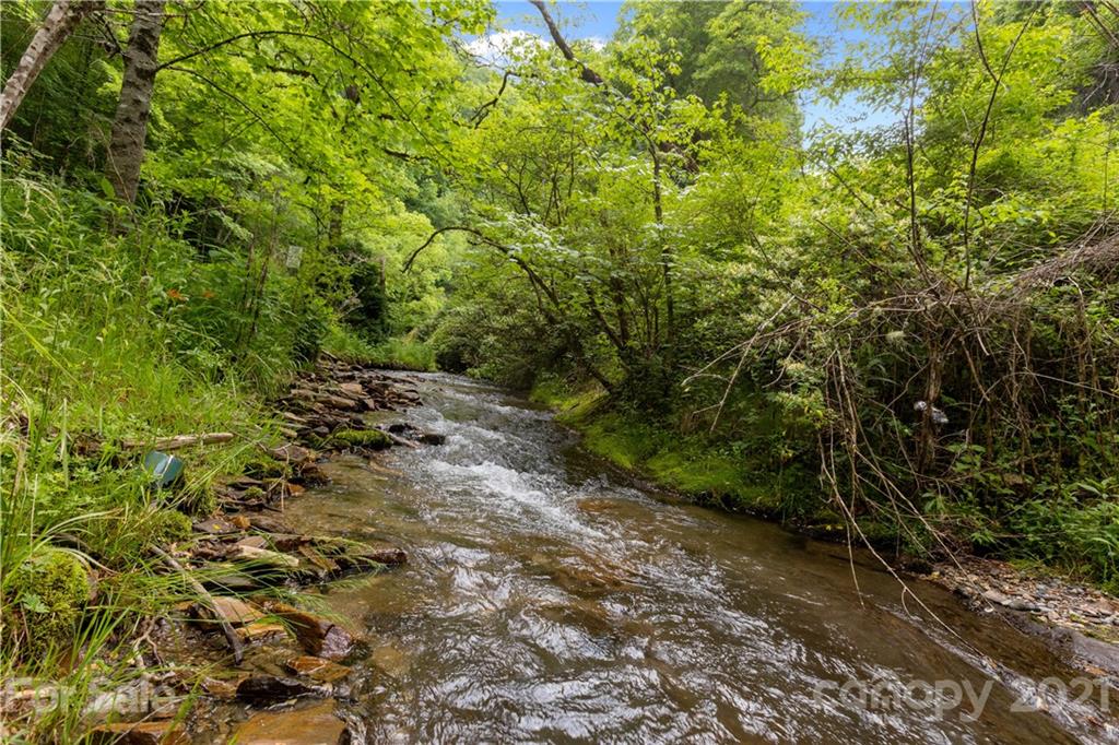 1810 Silvermine Road, Unit 8 Bryson City, NC 28713 - Photo 2 of 33 Gallery Image 2