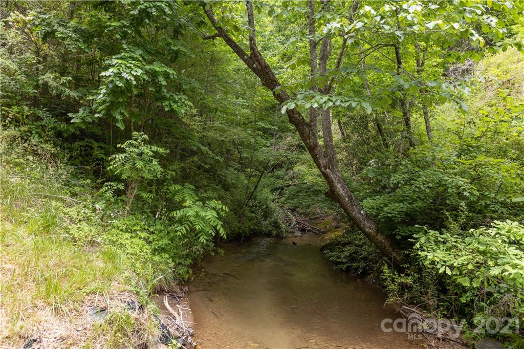 1810 Silvermine Road, Unit 8 Bryson City, NC 28713 - Photo 12 of 33 Gallery Image 12