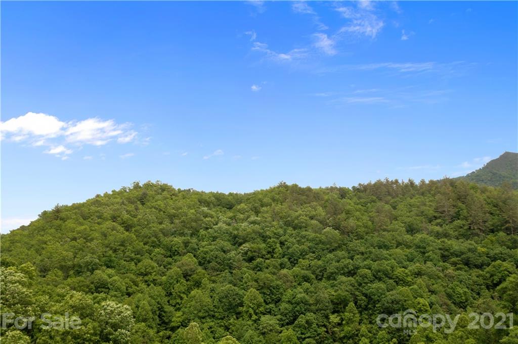 1810 Silvermine Road, Unit 8 Bryson City, NC 28713 - Photo 15 of 33 Gallery Image 15