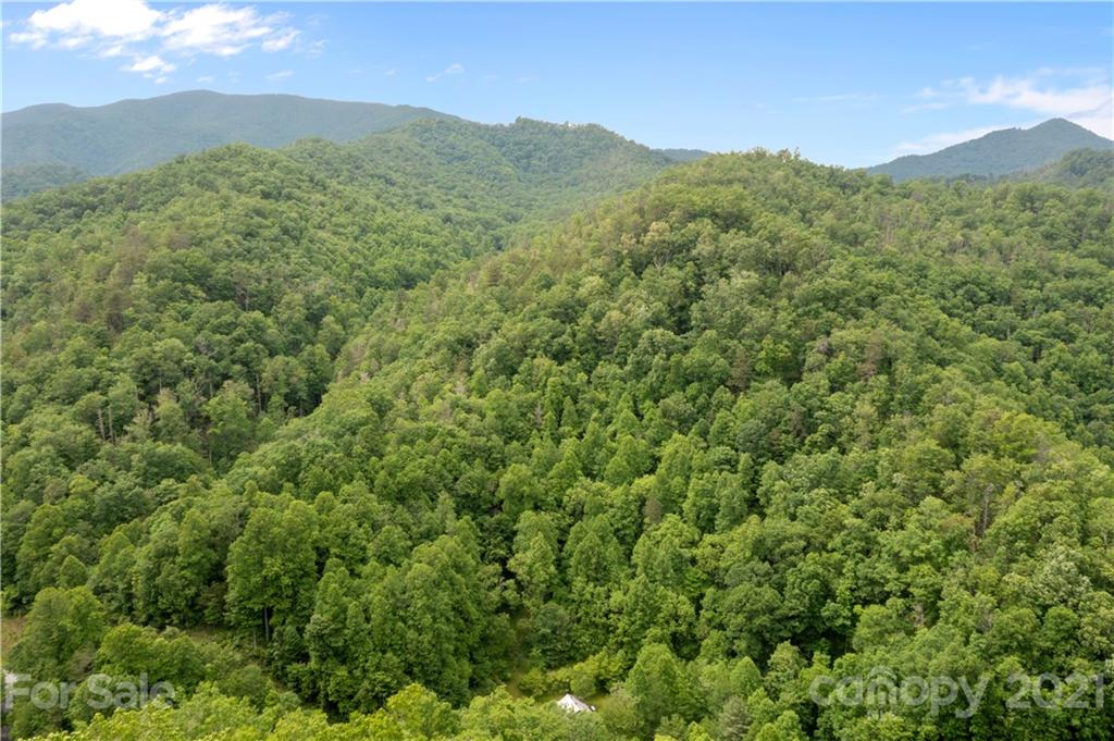 1810 Silvermine Road, Unit 8 Bryson City, NC 28713 - Photo 17 of 33 Gallery Image 17