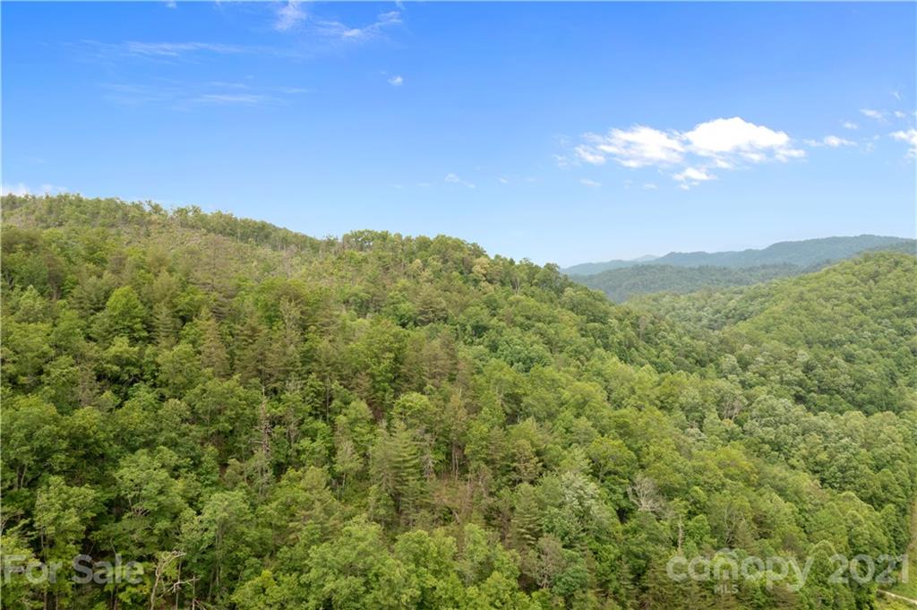 1810 Silvermine Road, Unit 8 Bryson City, NC 28713 - Photo 20 of 33 Gallery Image 20