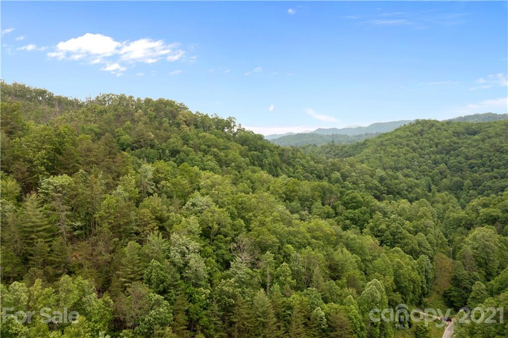 1810 Silvermine Road, Unit 8 Bryson City, NC 28713 - Photo 22 of 33 Gallery Image 22
