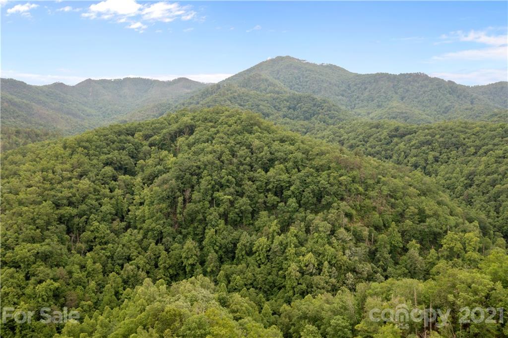 1810 Silvermine Road, Unit 8 Bryson City, NC 28713 - Photo 24 of 33 Gallery Image 24