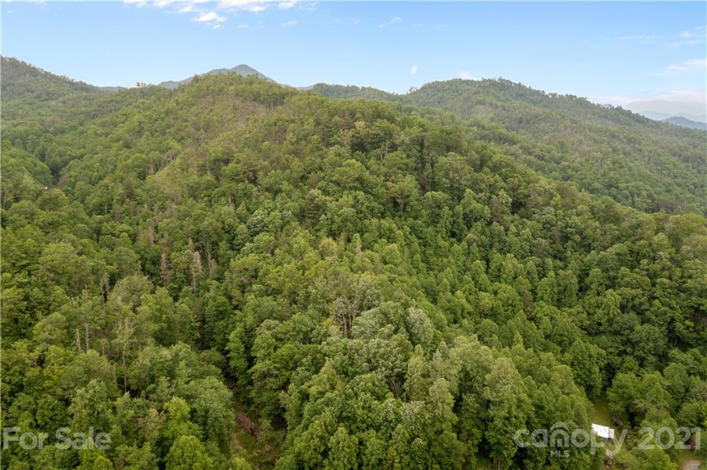 1810 Silvermine Road, Unit 8 Bryson City, NC 28713 - Photo 25 of 33 Gallery Image 25