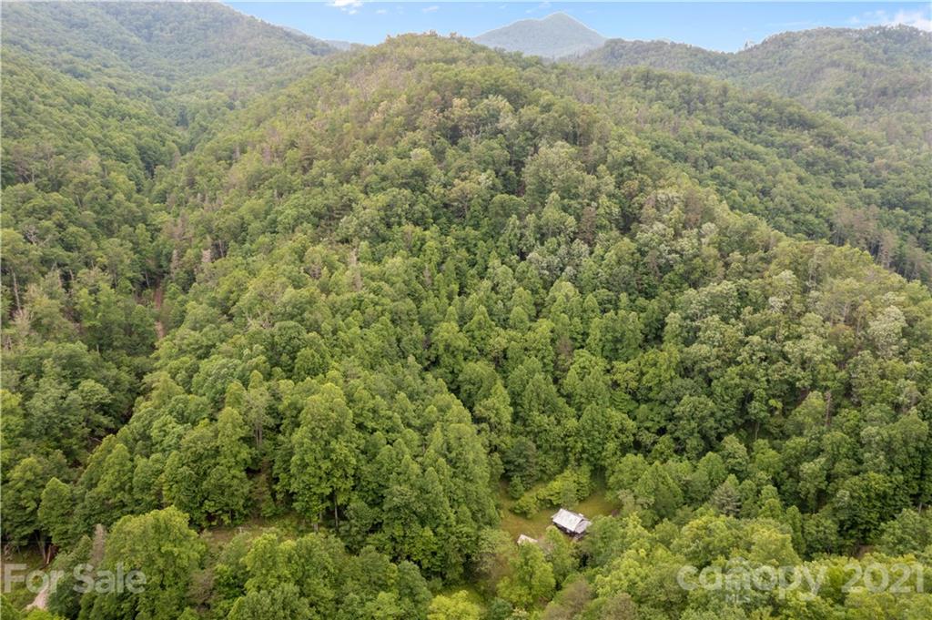 1810 Silvermine Road, Unit 8 Bryson City, NC 28713 - Photo 26 of 33 Gallery Image 26