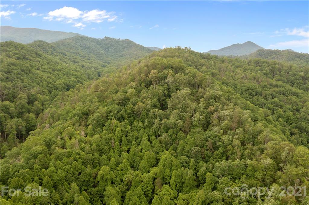 1810 Silvermine Road, Unit 8 Bryson City, NC 28713 - Photo 27 of 33 Gallery Image 27