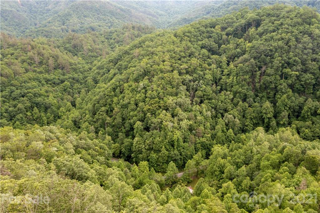 1810 Silvermine Road, Unit 8 Bryson City, NC 28713 - Photo 28 of 33 Gallery Image 28