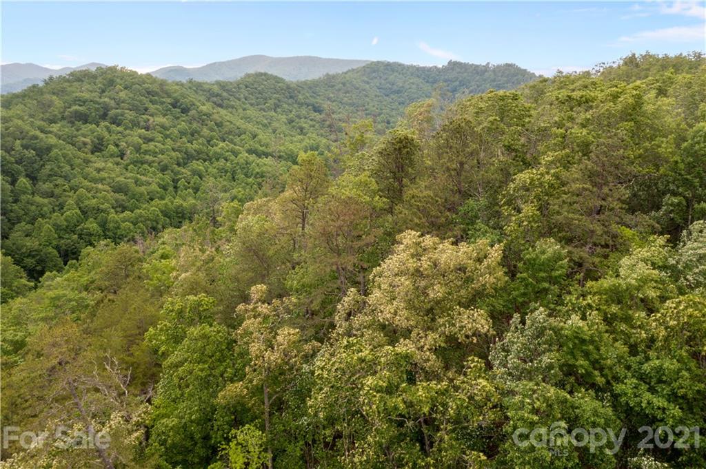 1810 Silvermine Road, Unit 8 Bryson City, NC 28713 - Photo 29 of 33 Gallery Image 29