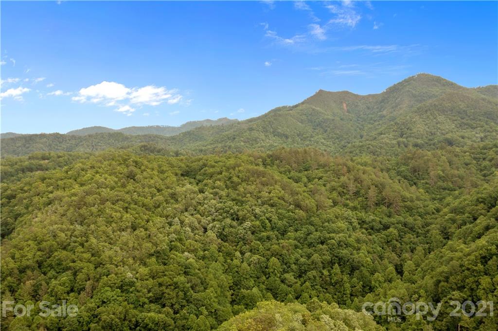 1810 Silvermine Road, Unit 8 Bryson City, NC 28713 - Photo 30 of 33 Gallery Image 30