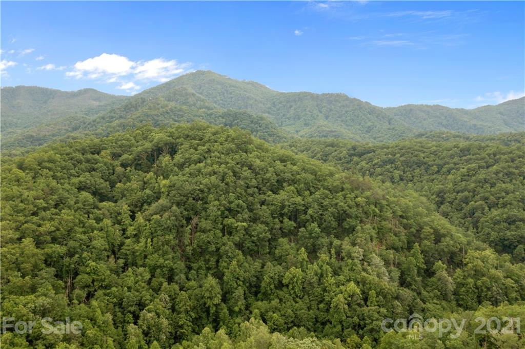 1810 Silvermine Road, Unit 8 Bryson City, NC 28713 - Photo 31 of 33 Gallery Image 31