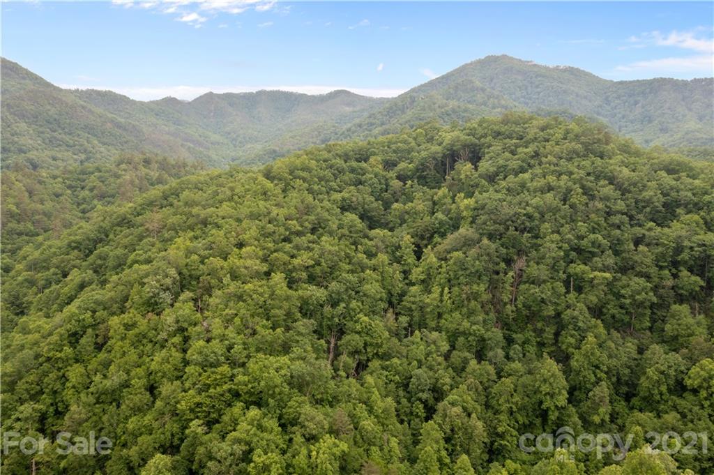 1810 Silvermine Road, Unit 8 Bryson City, NC 28713 - Photo 32 of 33 Gallery Image 32