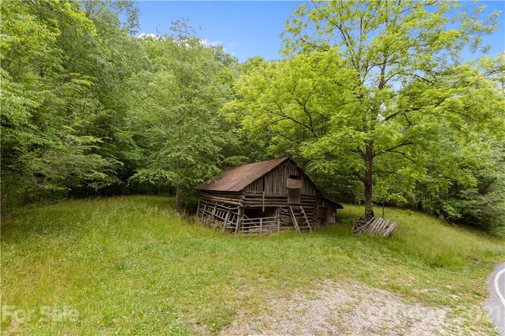 1810 Silvermine Road, Unit 8 Bryson City, NC 28713 - Photo 6 of 33 Gallery Image 6