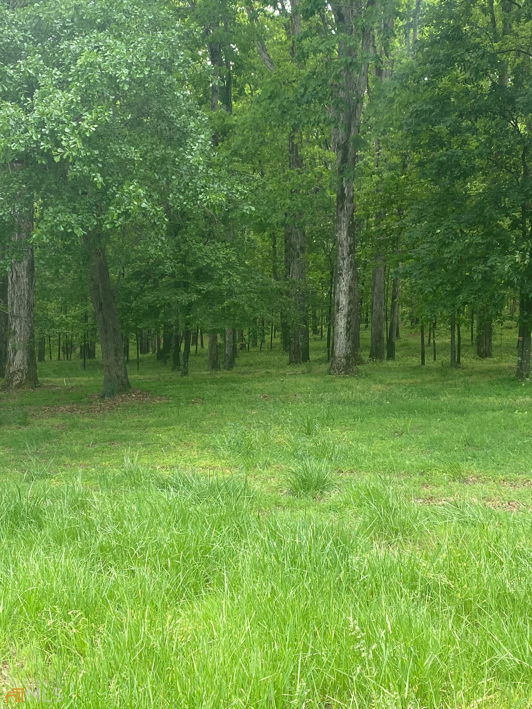 143 Southern Oaks Drive Road Athens, GA 30607 - Photo 1 of 1 a big yard with lots of green space and deers