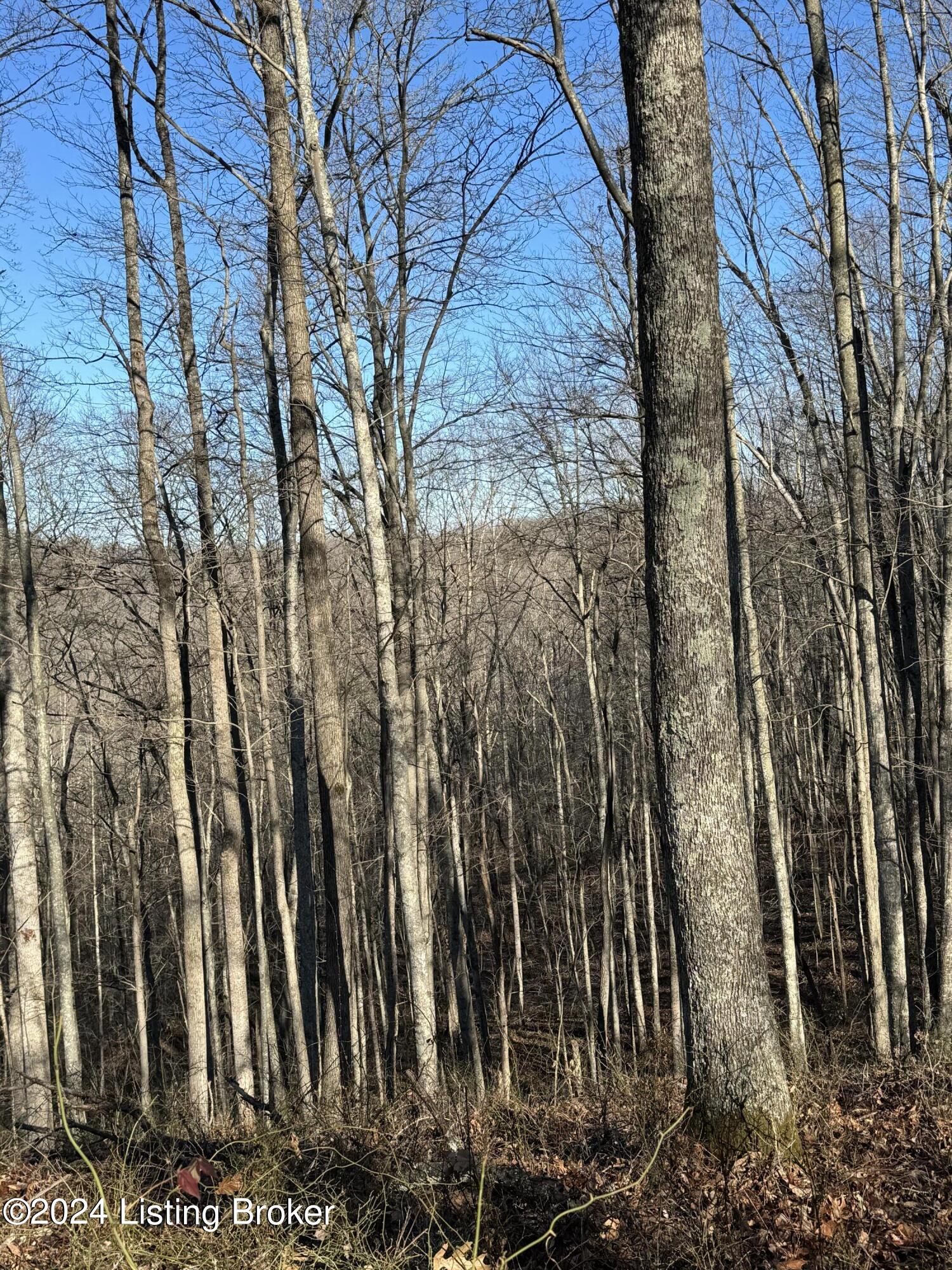 0 Cooper Road Greenup, KY 41144 - Photo 28 of 37 IMG_1062