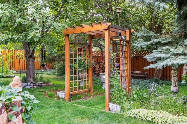 a view of a backyard with potted plants and large tree