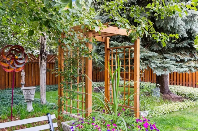 a view of a backyard with potted plants and large trees