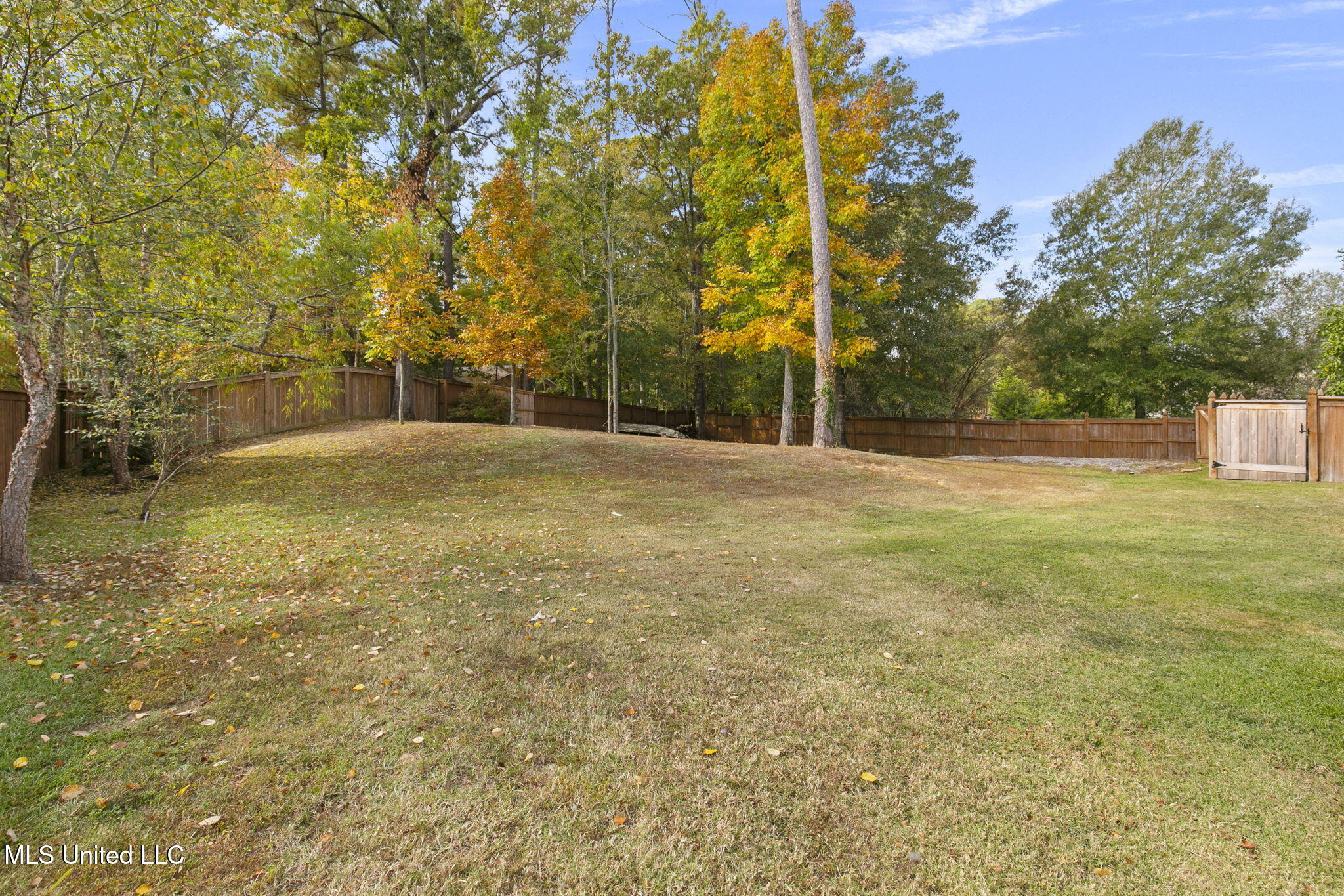 112 Lineage Lane Flowood, MS 39232 - Photo 99 of 107 100-web-or-mls-112 Lineage Ln-100