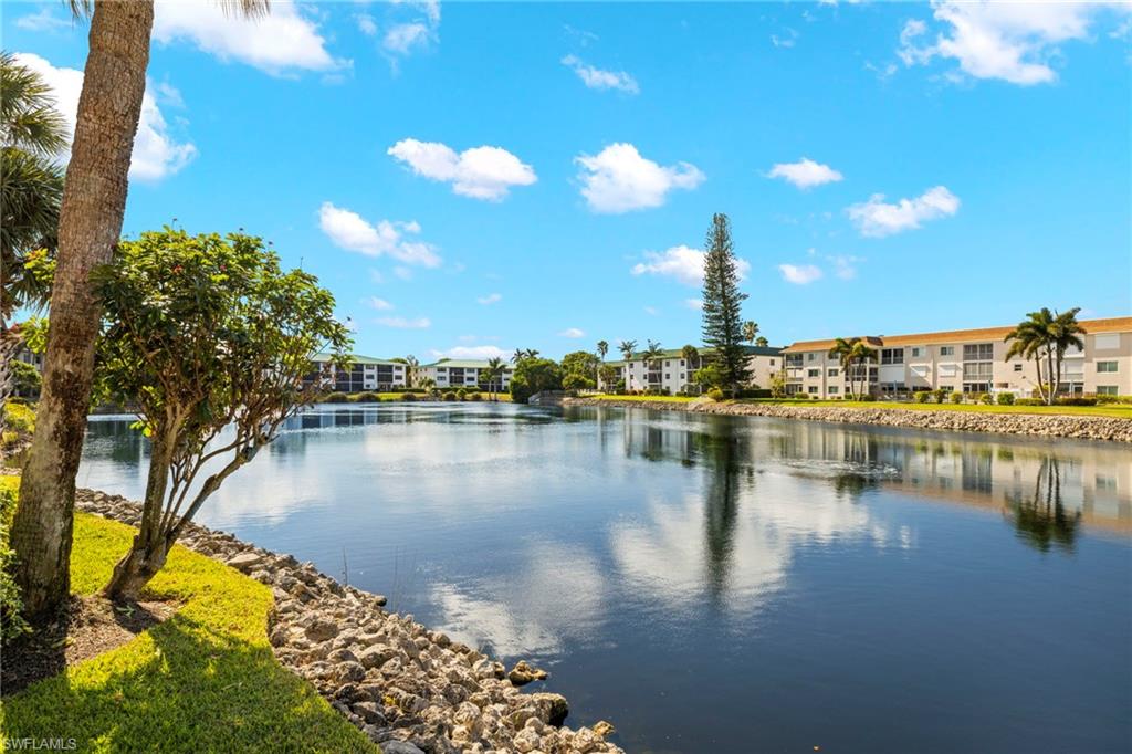3101 Riviera Drive Naples, FL 34103 - Photo 30 of 41 a view of a lake with boats and trees in the background