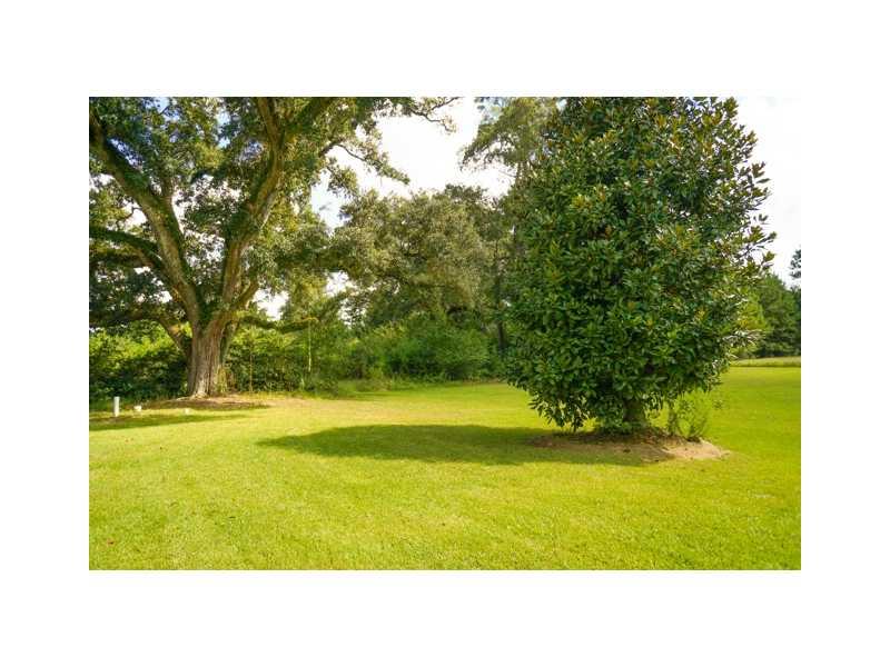 52500 South Evans Road Independence, LA 70443 - Photo 15 of 15 Gallery Image 15