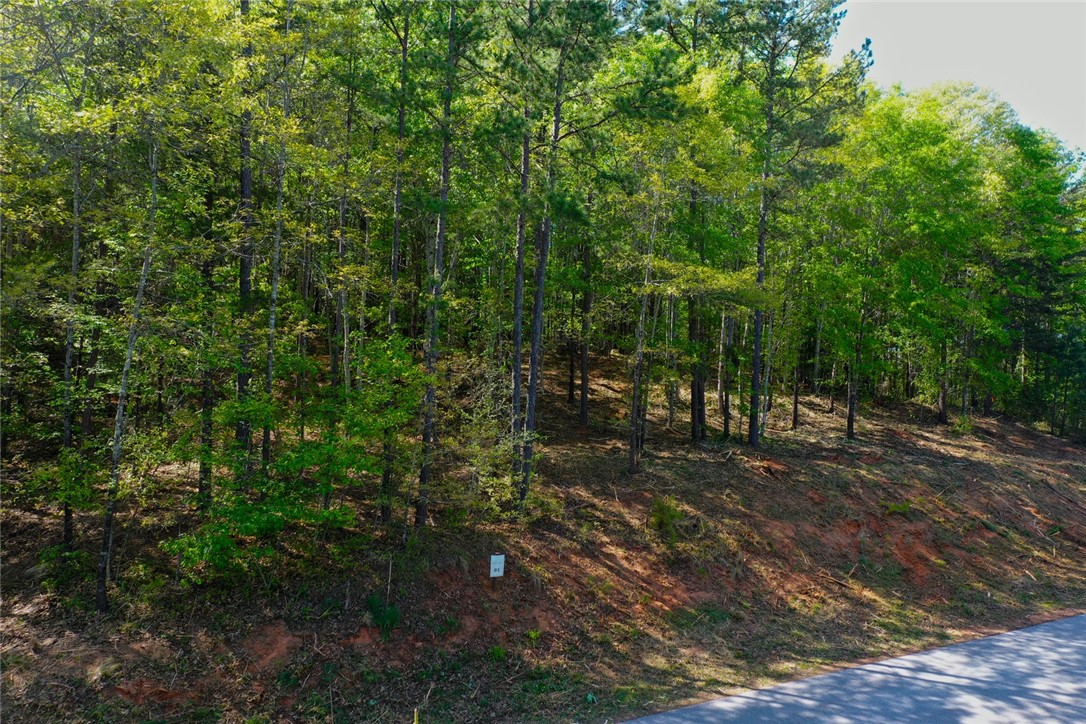 Lot 91 Harbor Point Seneca, SC 29672 - Photo 11 of 24 Mature trees frame a promising building site with direct road access.