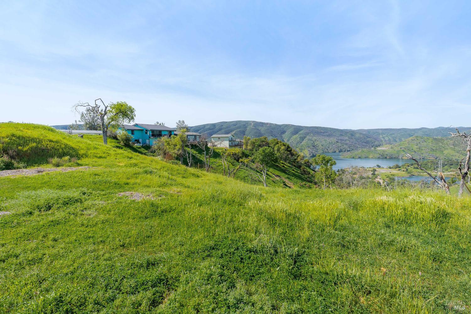 1085 Rimrock Drive Napa, CA 94558 - Photo 2 of 19 a view of a big yard with large trees
