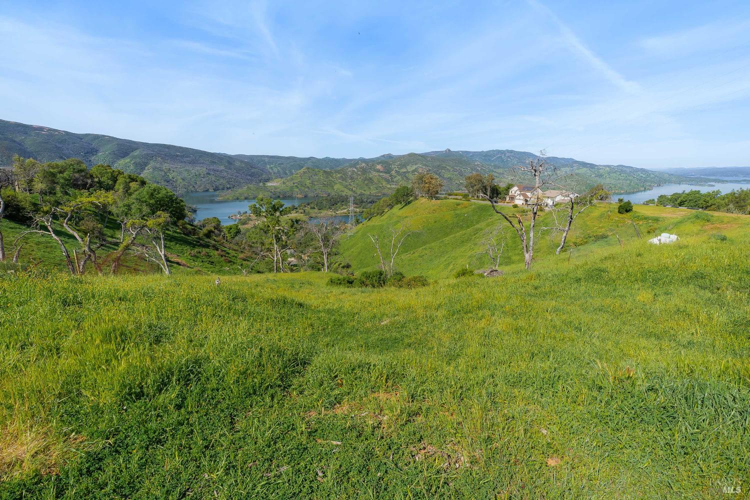1085 Rimrock Drive Napa, CA 94558 - Photo 4 of 19 a view of a lush green outdoor space with a swimming pool