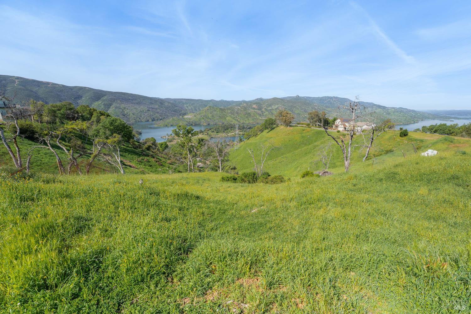 1085 Rimrock Drive Napa, CA 94558 - Photo 7 of 19 a view of a lush green outdoor space with a swimming pool