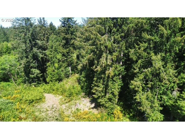 400 Erhart Road Florence, OR 97439 - Photo 12 of 16 a open area with trees in the background