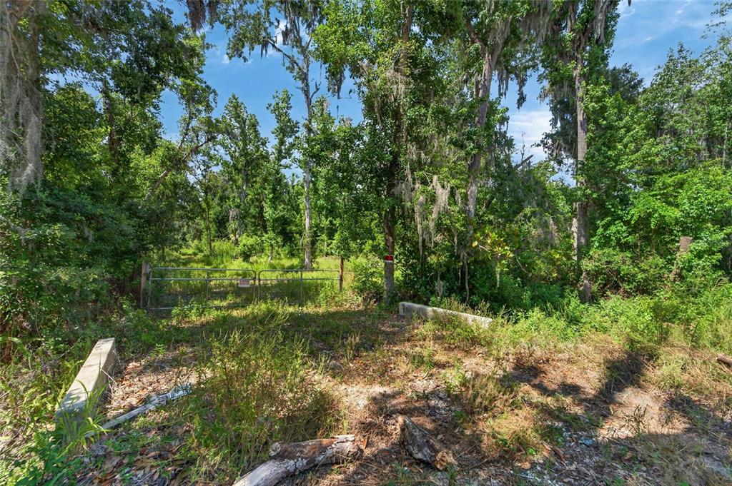 672 Highway Lithia Lithia, FL 33547 - Photo 15 of 24