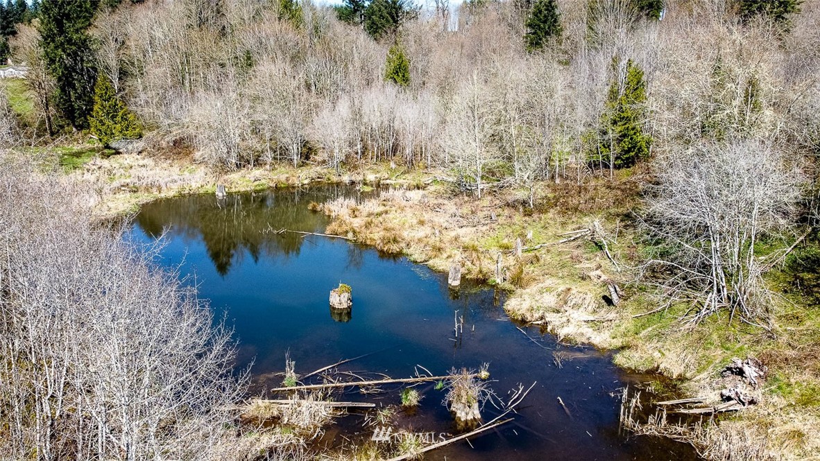 -off Off Berry Road Chehalis, WA 98532 - Photo 1 of 25