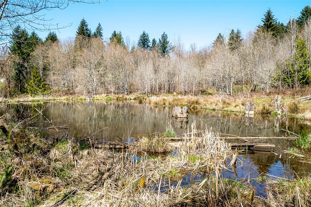 -off Off Berry Road Chehalis, WA 98532 - Photo 2 of 25