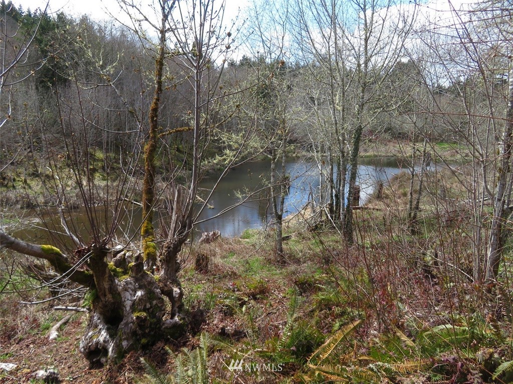 -off Off Berry Road Chehalis, WA 98532 - Photo 12 of 25