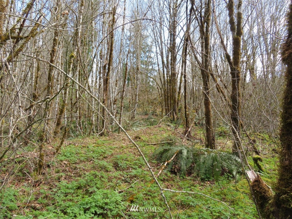 -off Off Berry Road Chehalis, WA 98532 - Photo 13 of 25