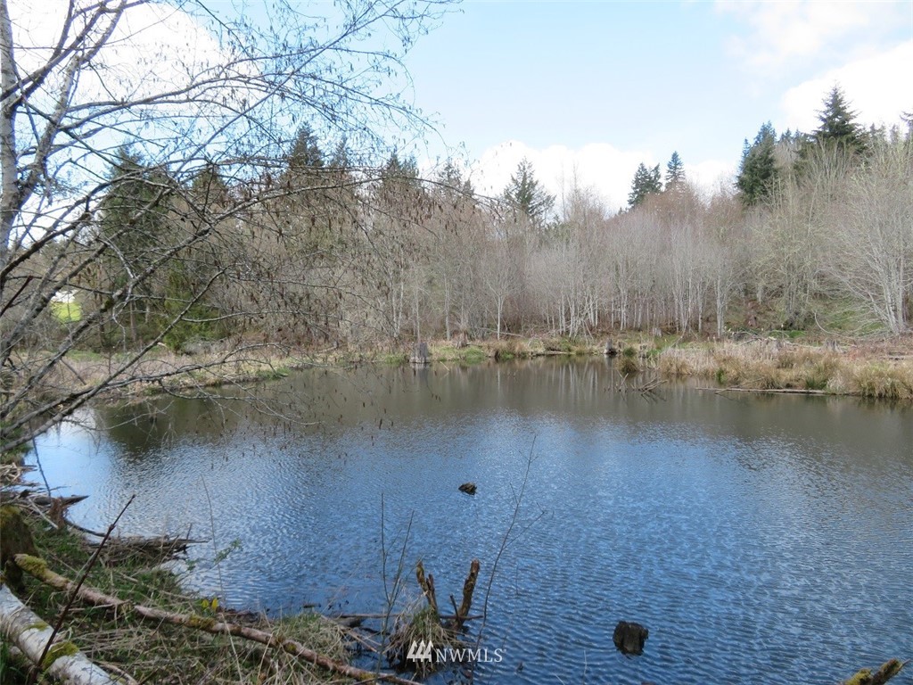 -off Off Berry Road Chehalis, WA 98532 - Photo 14 of 25