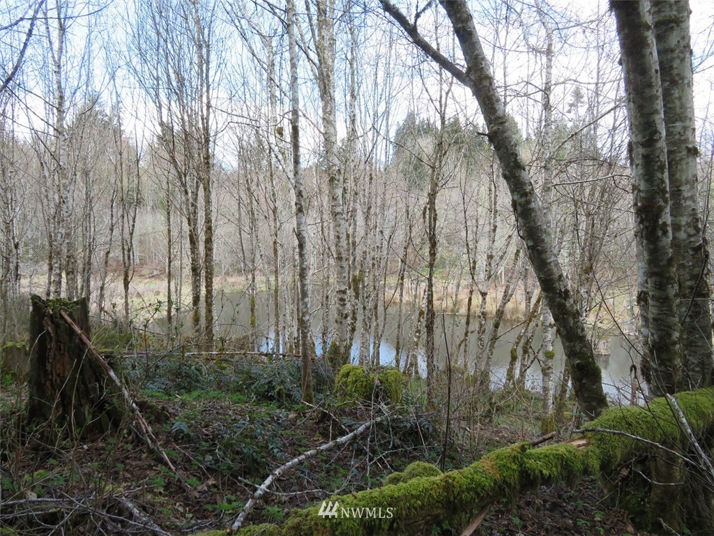 -off Off Berry Road Chehalis, WA 98532 - Photo 15 of 25