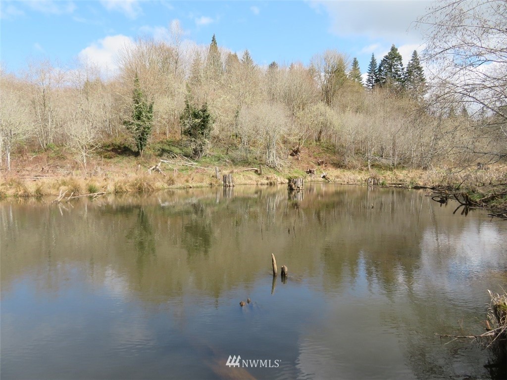 -off Off Berry Road Chehalis, WA 98532 - Photo 3 of 25