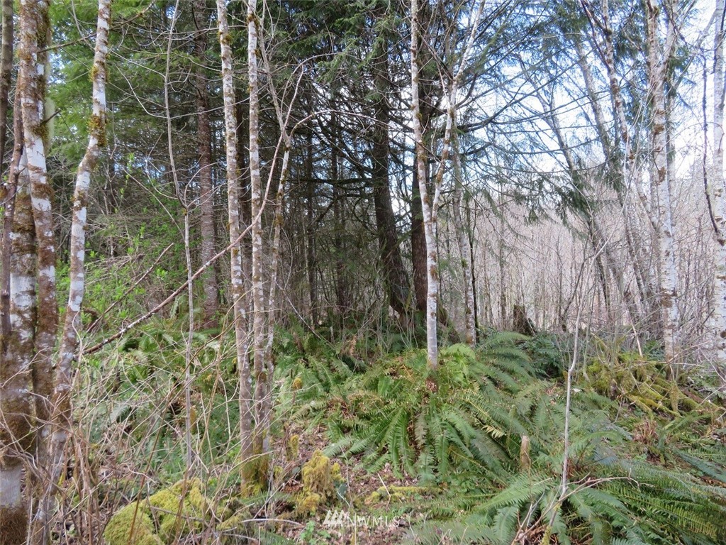 -off Off Berry Road Chehalis, WA 98532 - Photo 25 of 25