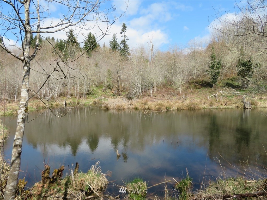 -off Off Berry Road Chehalis, WA 98532 - Photo 4 of 25