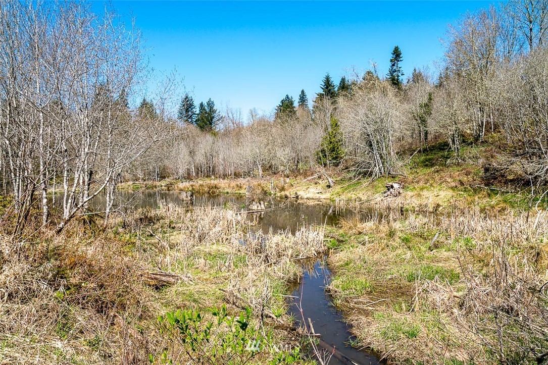-off Off Berry Road Chehalis, WA 98532 - Photo 5 of 25