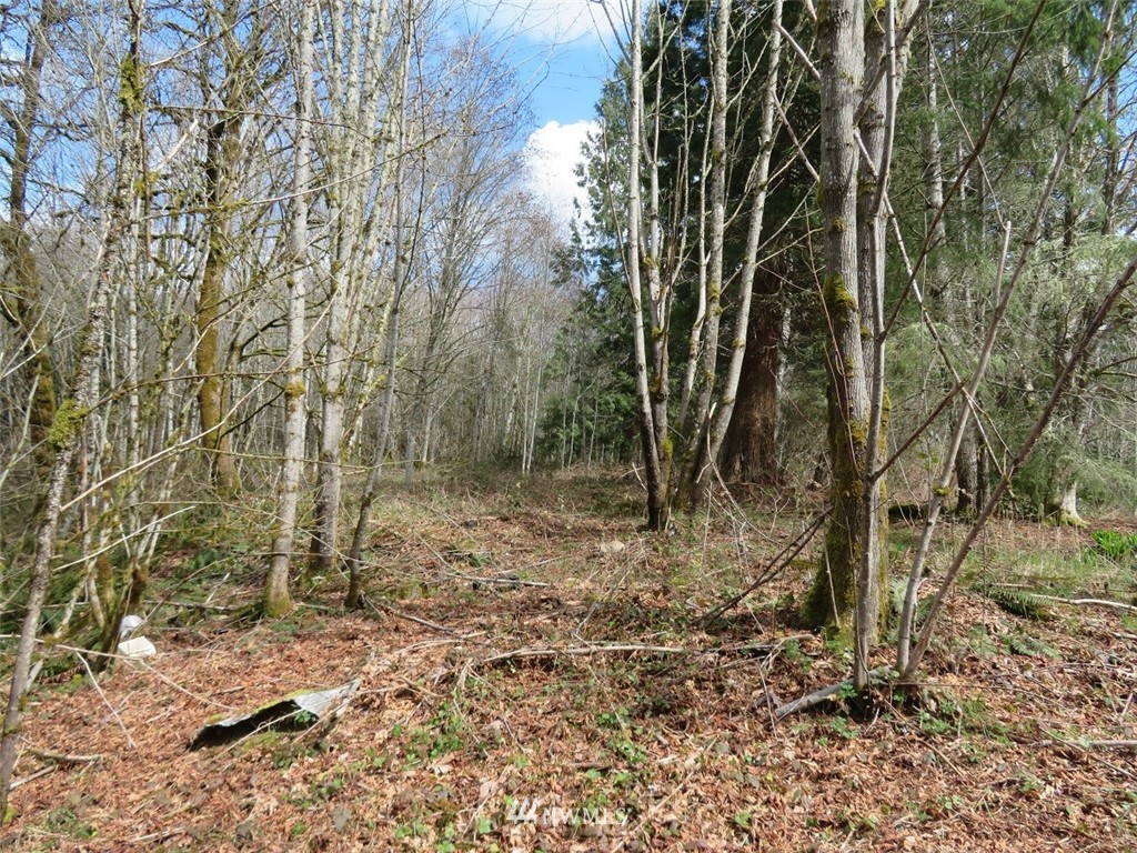 -off Off Berry Road Chehalis, WA 98532 - Photo 6 of 25