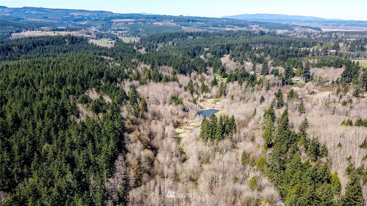 -off Off Berry Road Chehalis, WA 98532 - Photo 7 of 25