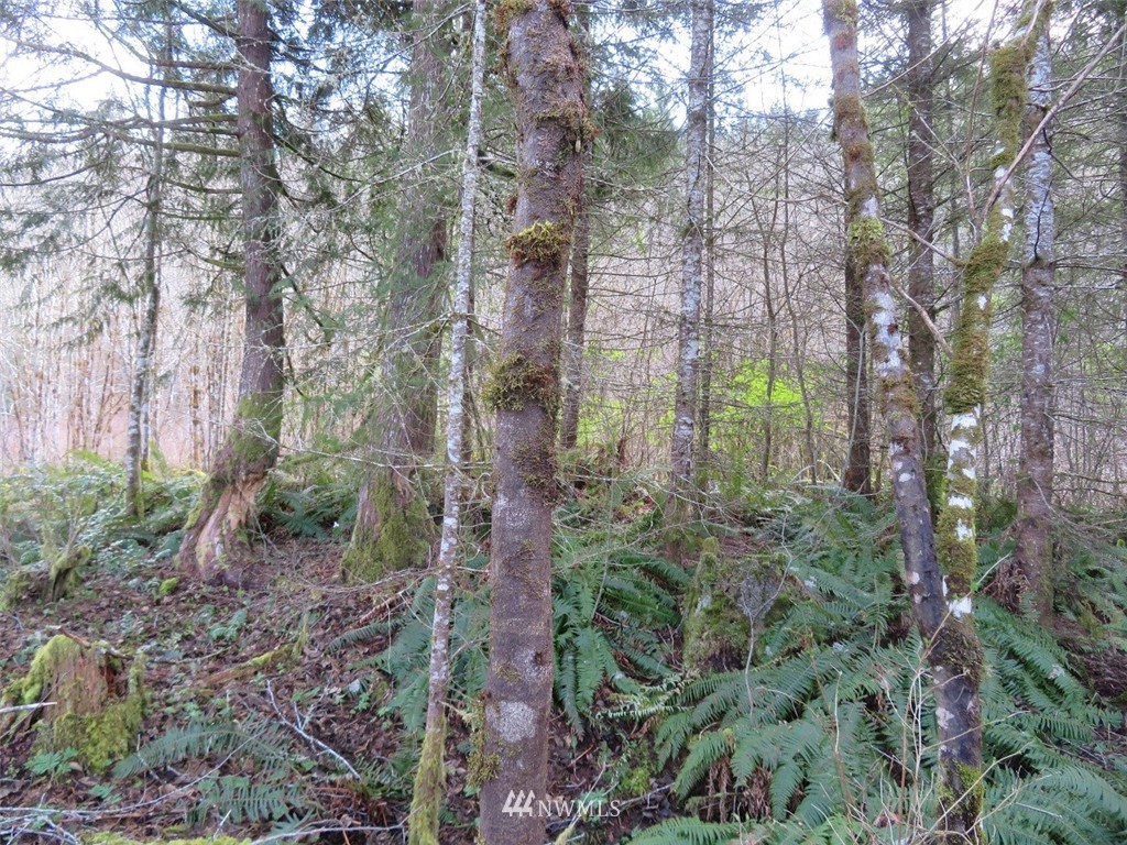 -off Off Berry Road Chehalis, WA 98532 - Photo 8 of 25