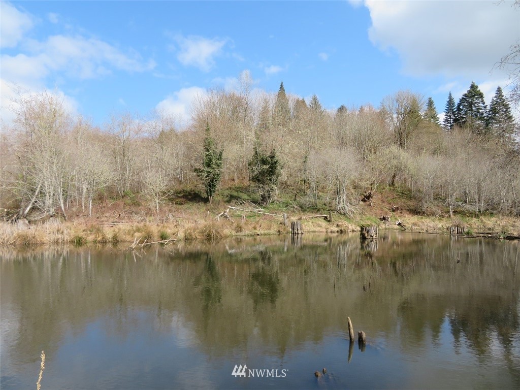 -off Off Berry Road Chehalis, WA 98532 - Photo 10 of 25