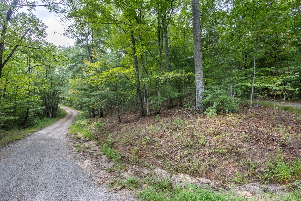 2-ac Horvath Road Murphy, NC 28906 - Photo 6 of 12