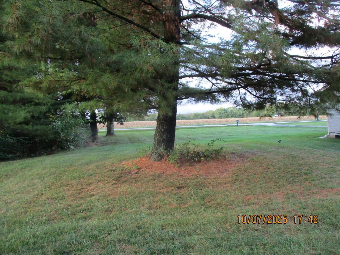 7540 Agenbroad Road New Carlisle, OH 45344 - Photo 39 of 44